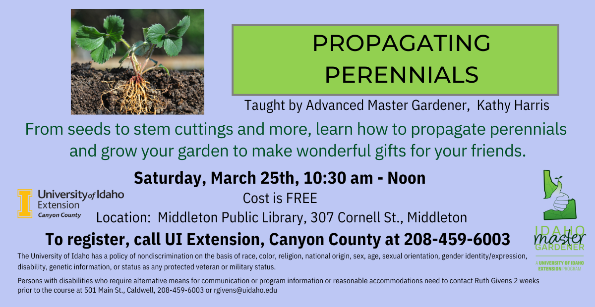 Propagating Perennials Class, 3/25