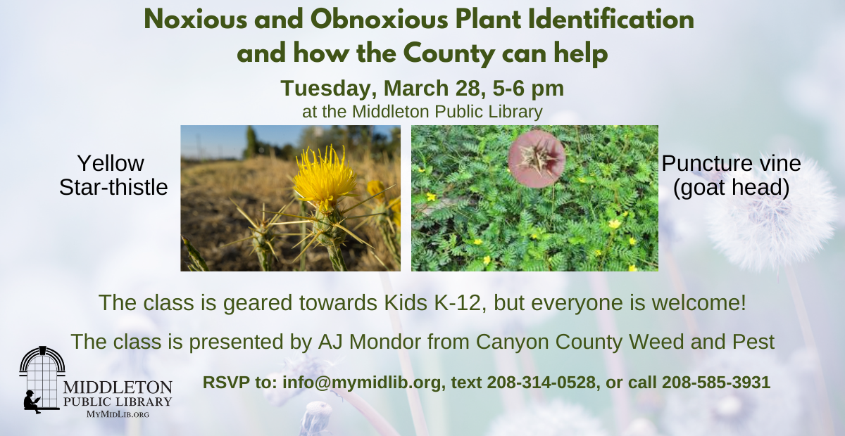 Noxious and Obnoxious Weed Class, 3/28