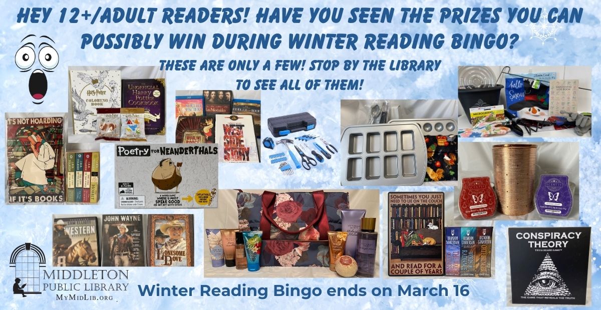 12+/Adult Winter Reading Bingo prizes